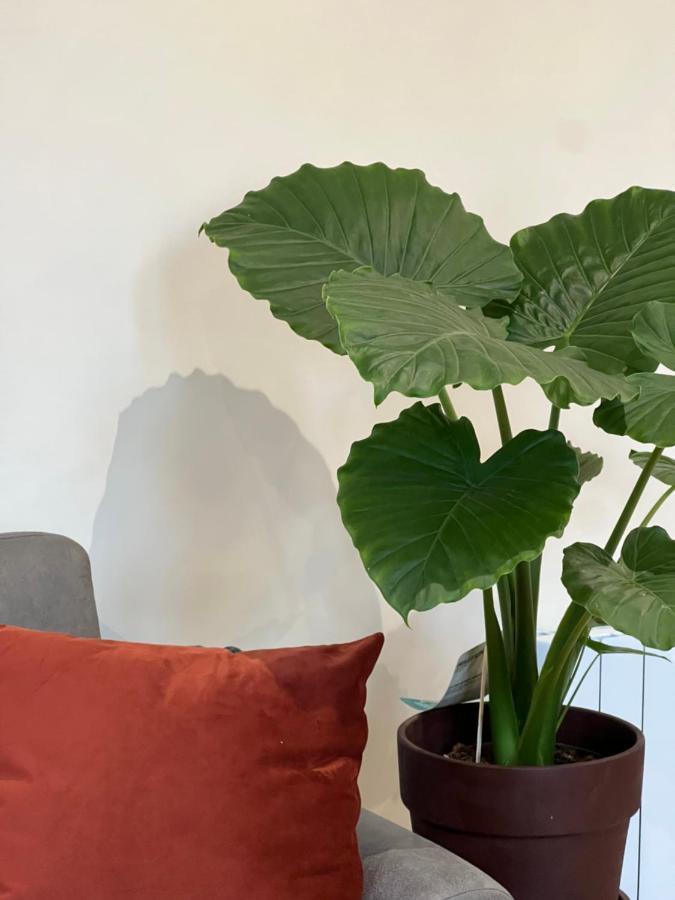 Myaka Appartement Wood Cholet Kültér fotó